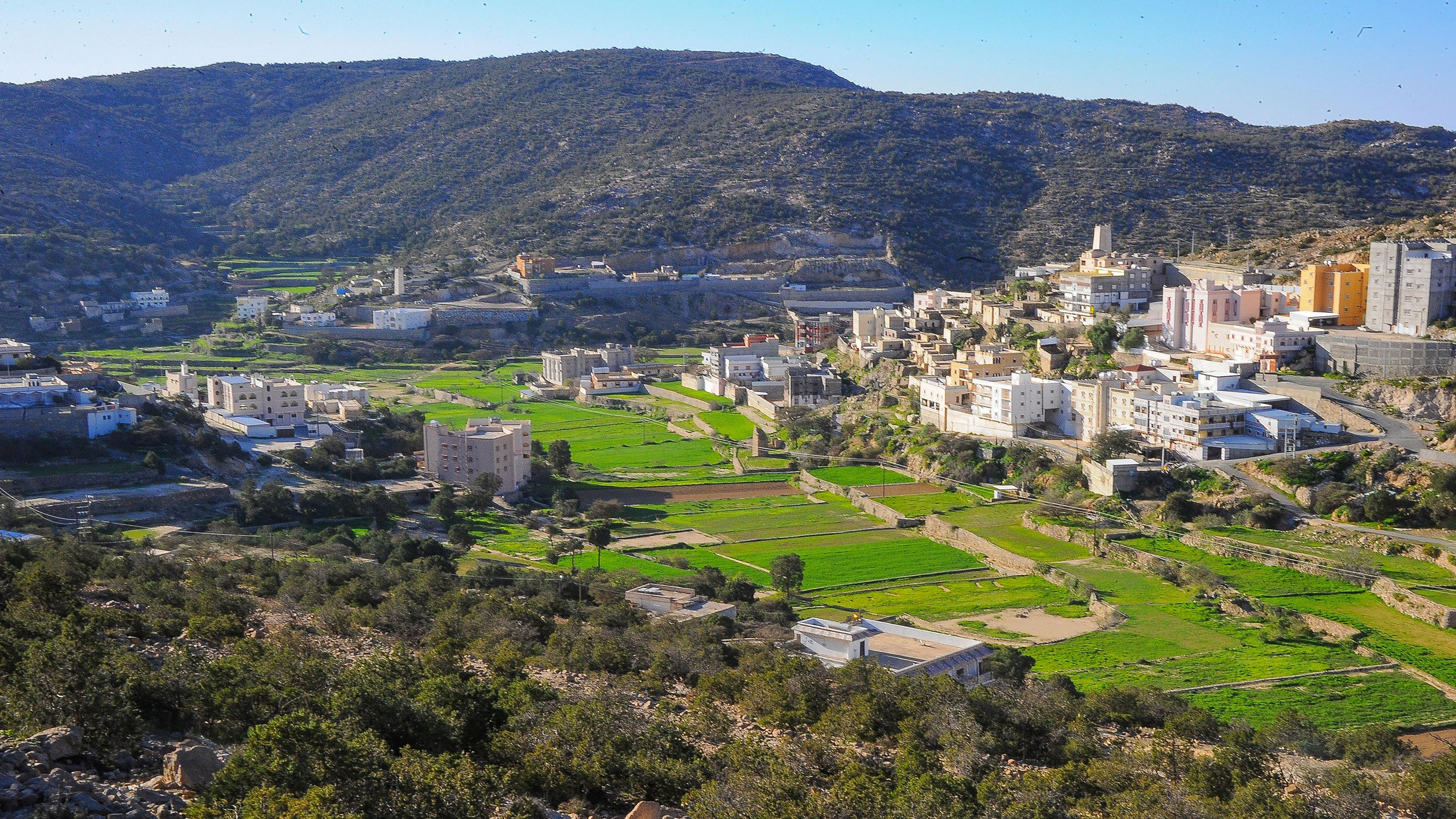 Pertama Kali Terjadi Pegunungan Di Mekkah Arab Saudi Menghijau