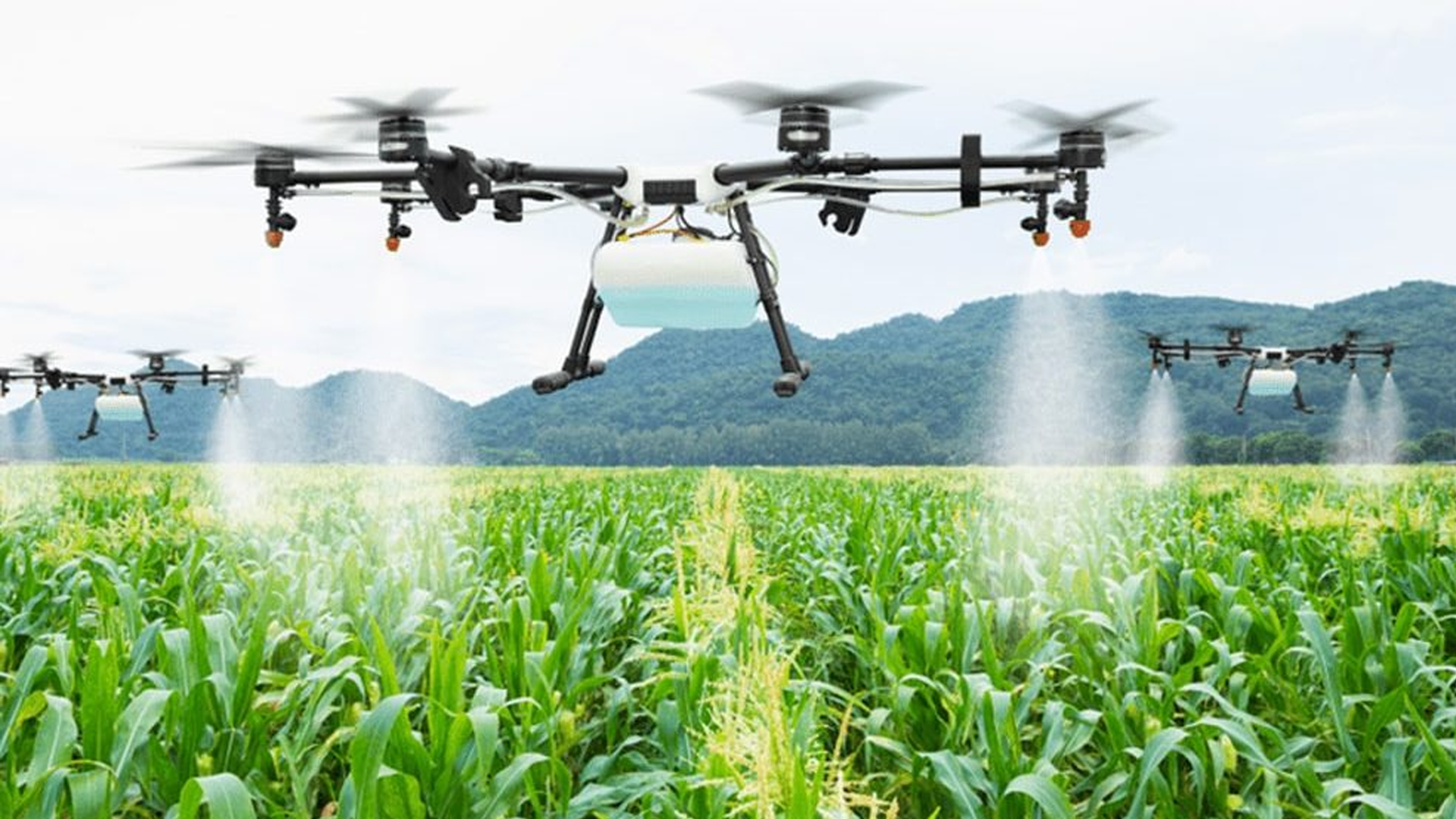 Indonesia Berhasil Swasembada Pangan! Teknologi Modern Jadi Kunci Utama di Balik Lumbung Padi Nasional