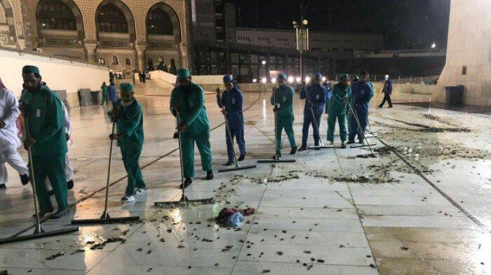 Masya Allah! Jutaan Belalang & Jangkrik Terdapat Di Masjidil Haram