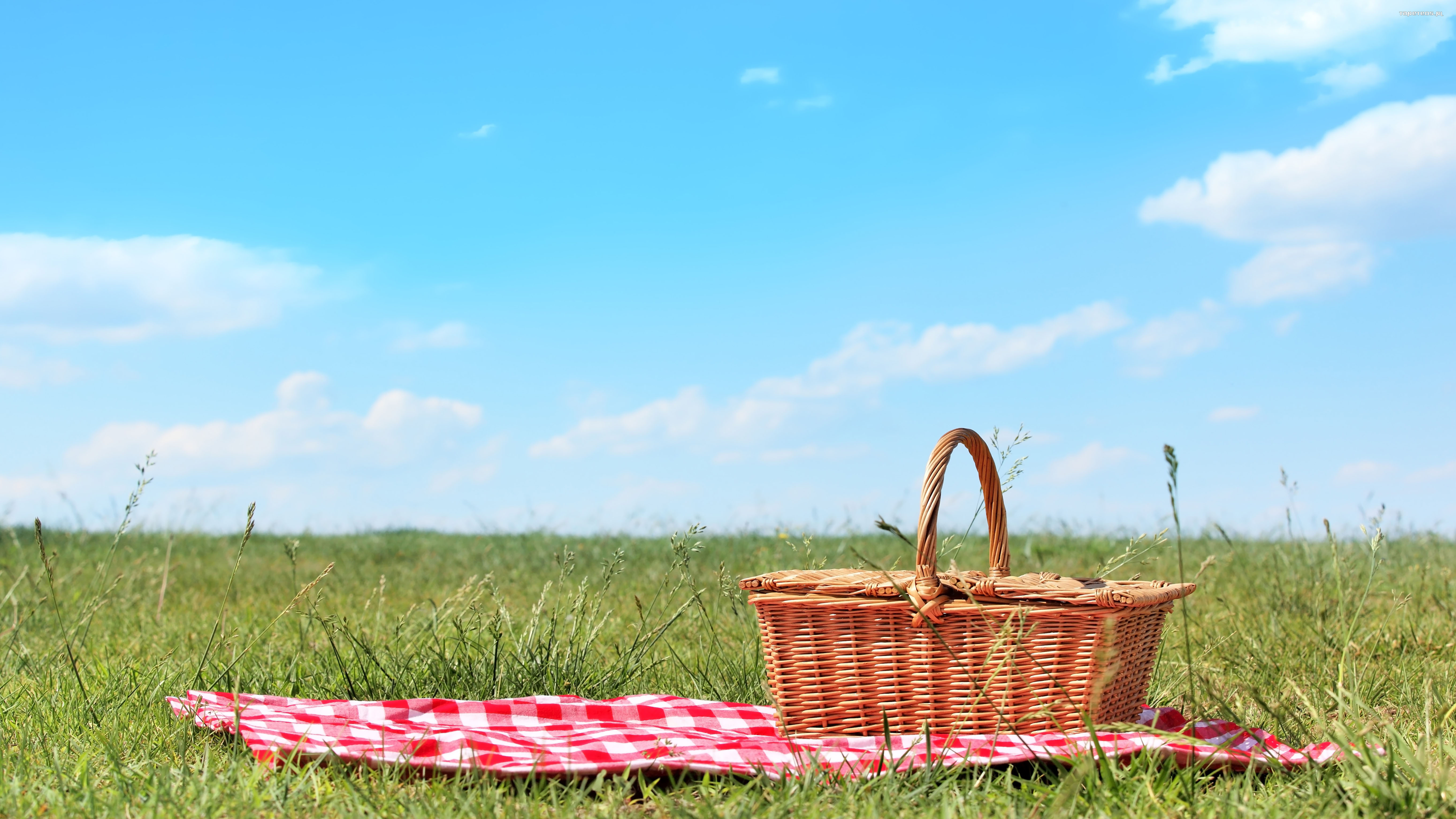 Orang Indonesia Kurang Piknik Rata-Rata Hanya Liburan 2,6 Kali Setahun