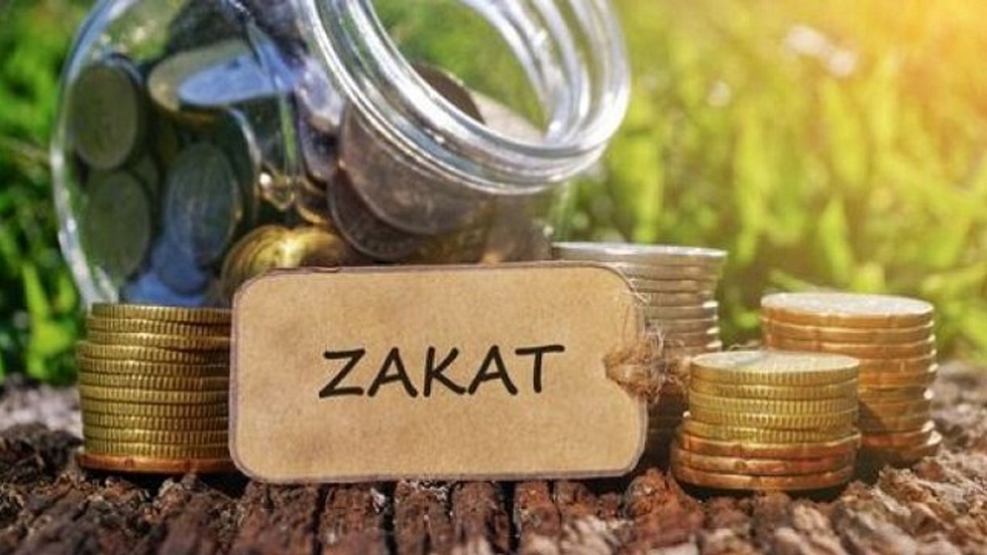 8 Golongan Orang yang Berhak Menerima Zakat